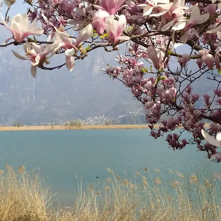 Casa Sally - E Montagna *